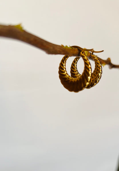 Halo Luxe Hoop Earrings