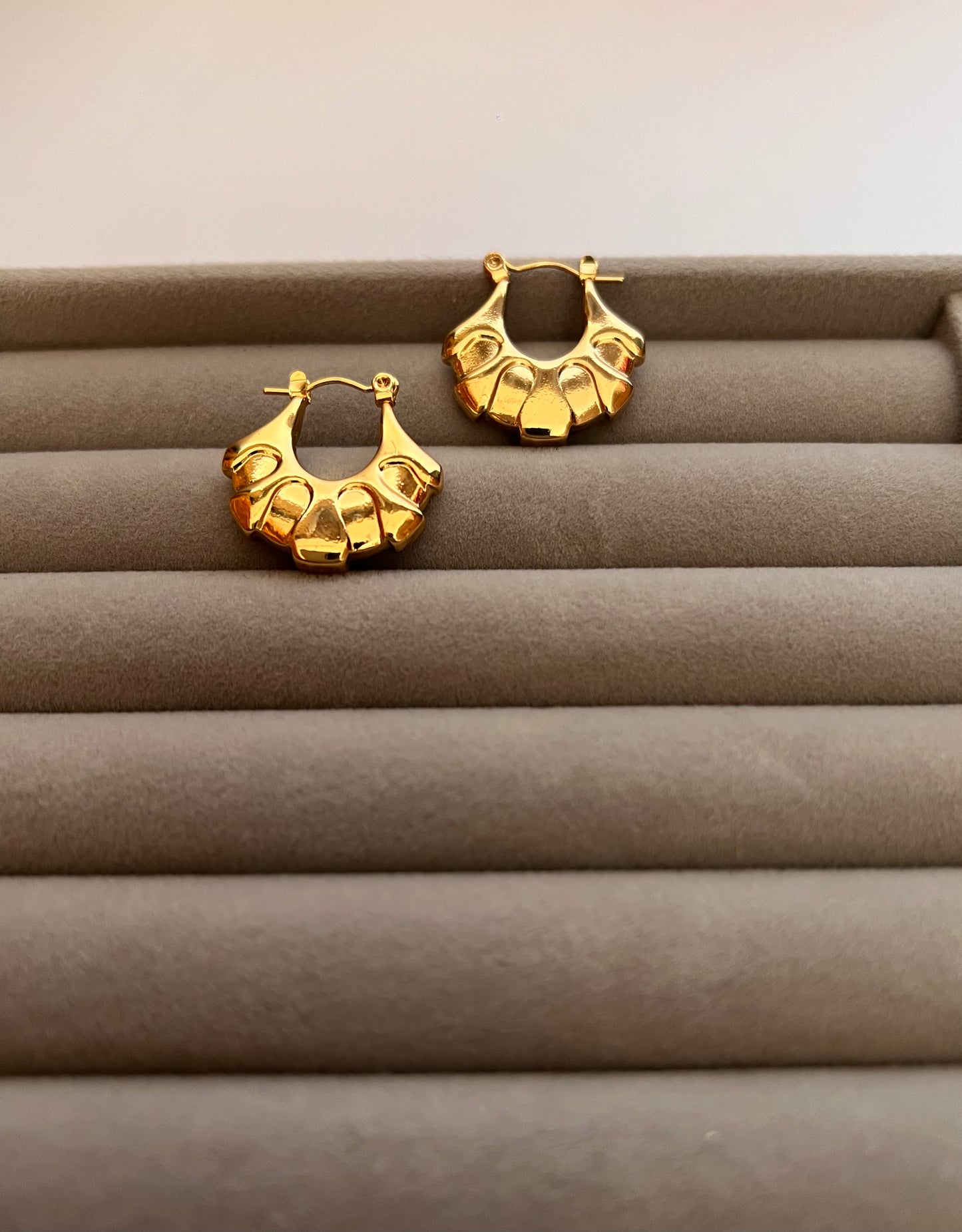 Revolve Hoop Earrings