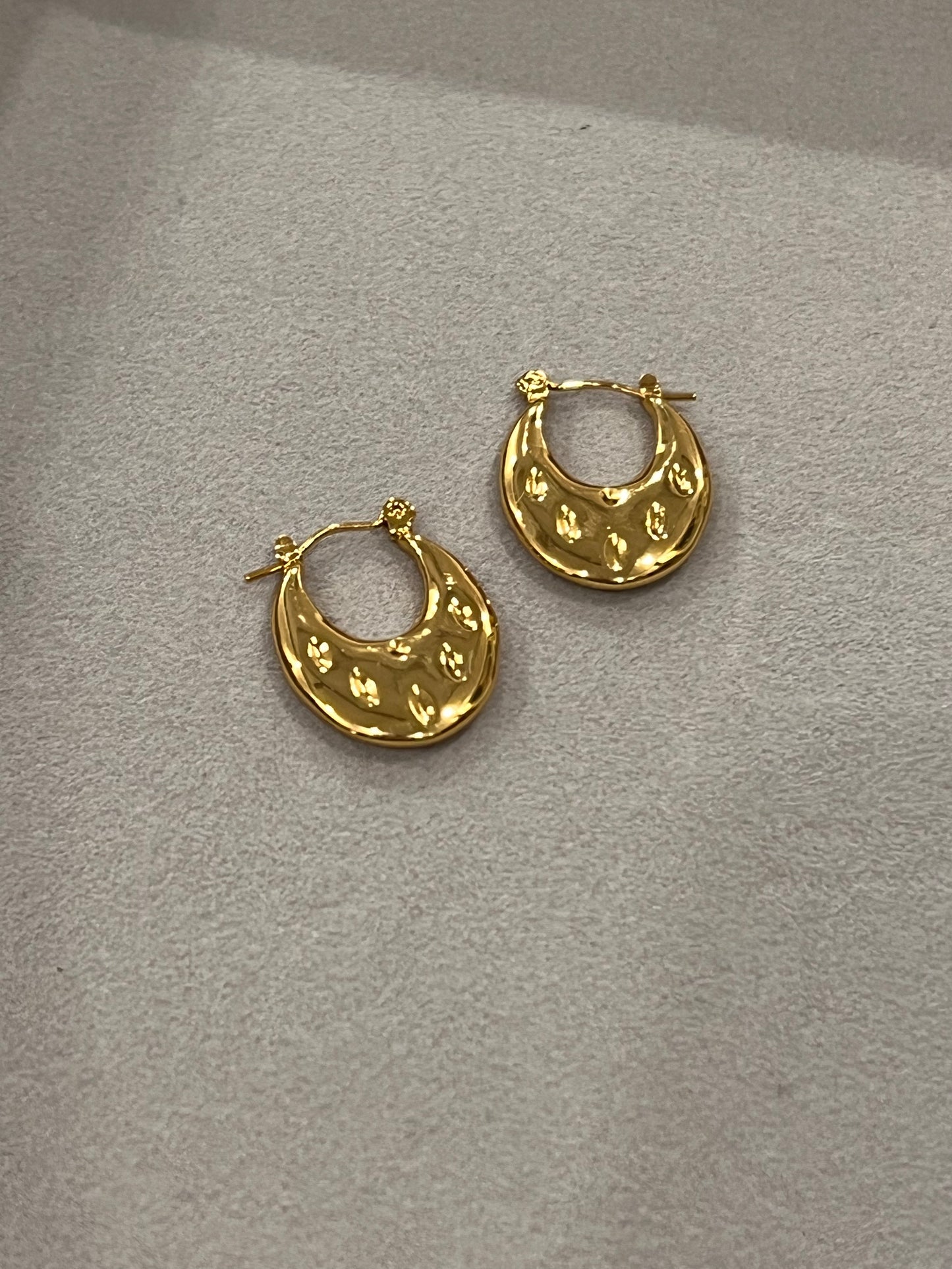 Circle of Chic Hoop Earrings