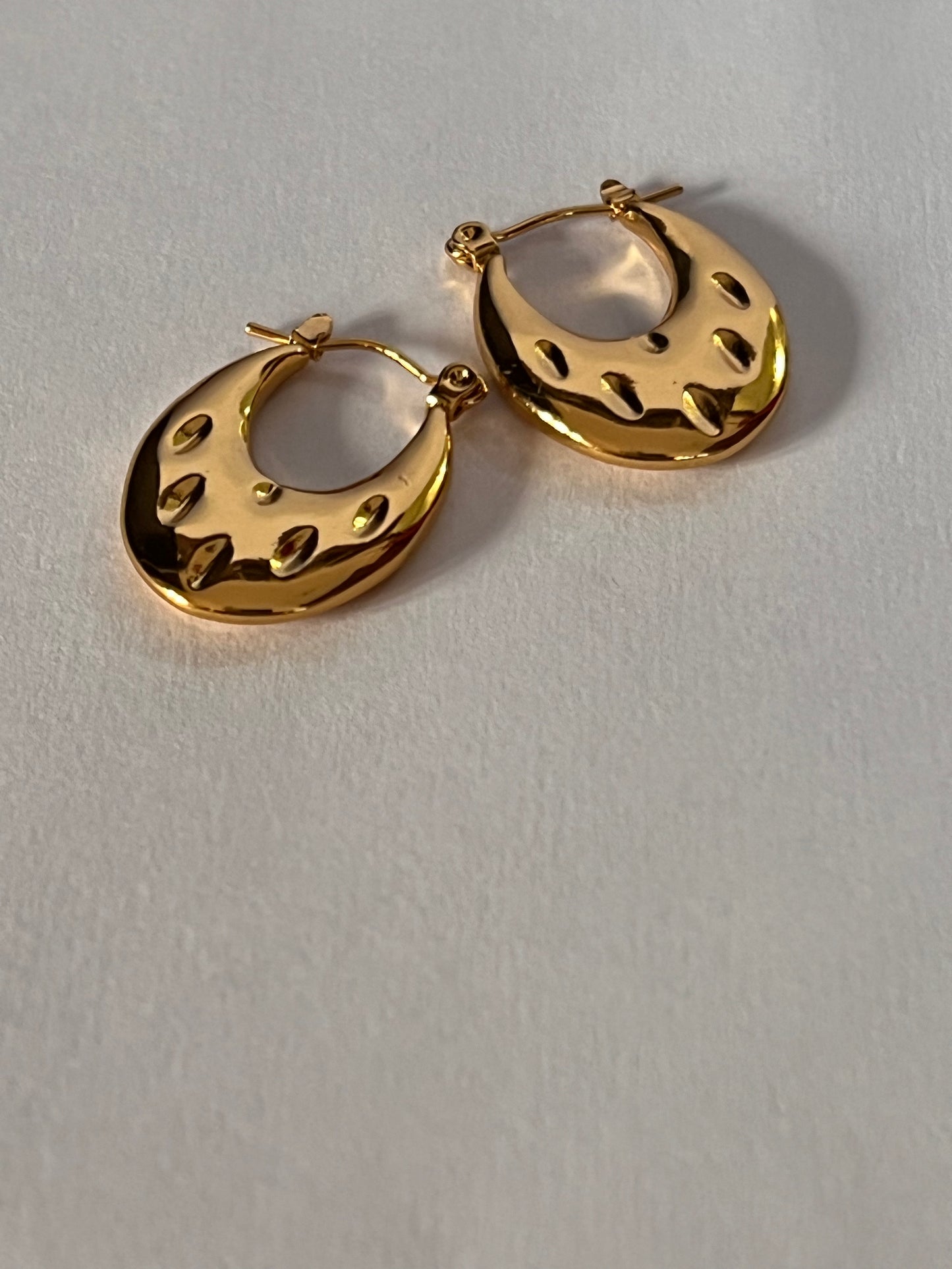 Circle of Chic Hoop Earrings