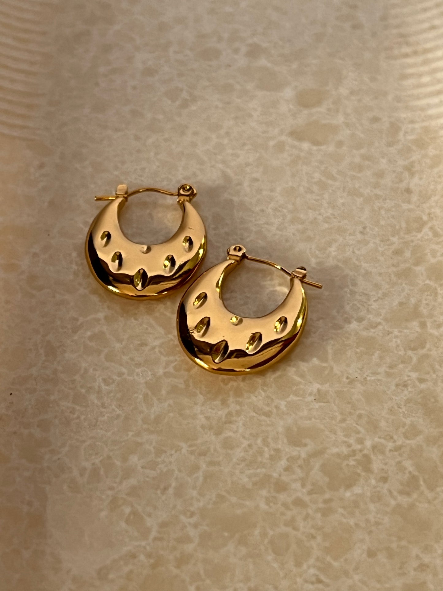 Circle of Chic Hoop Earrings