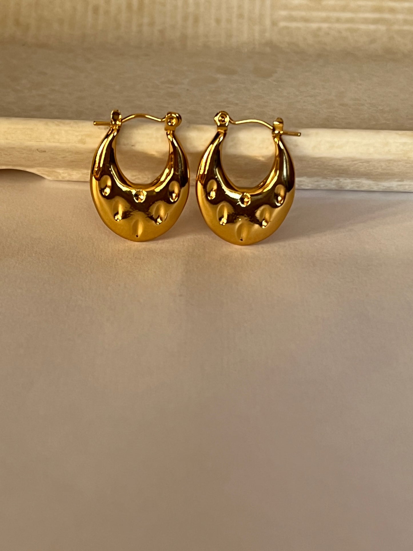 Circle of Chic Hoop Earrings