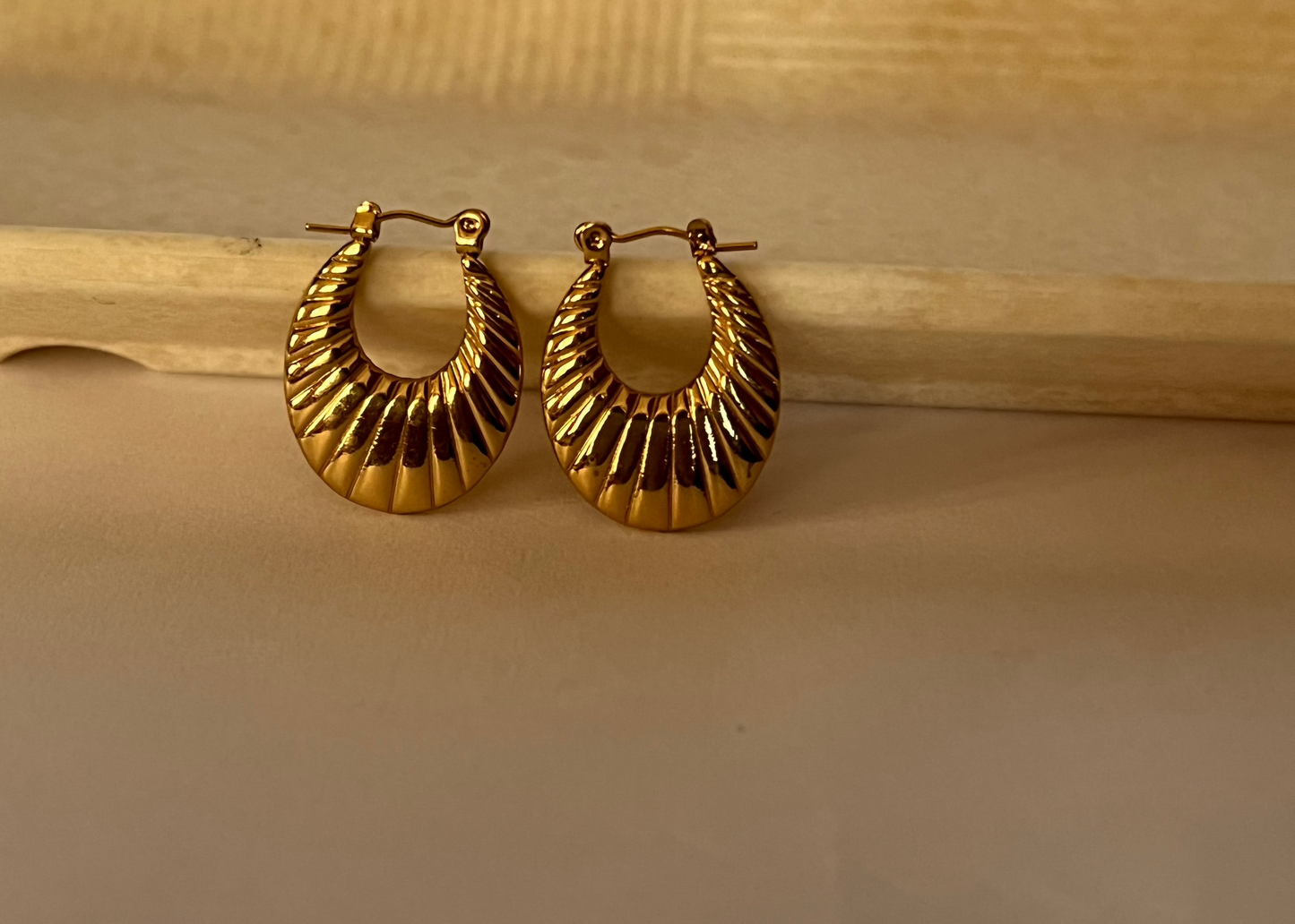 Golden Embrace Earrings