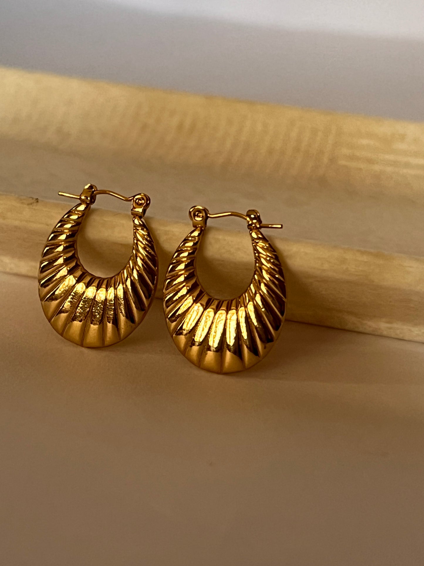 Golden Embrace Earrings