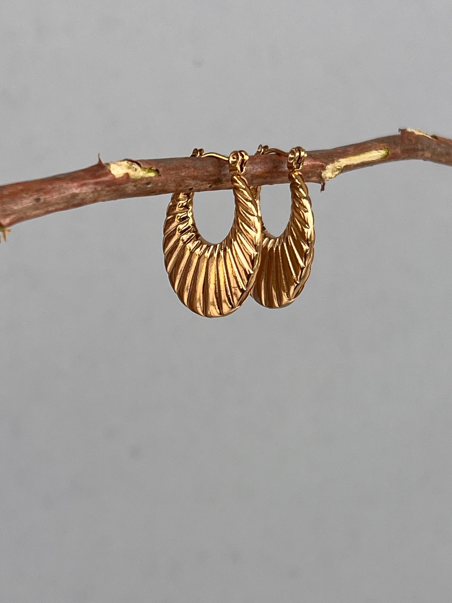 Golden Embrace Earrings