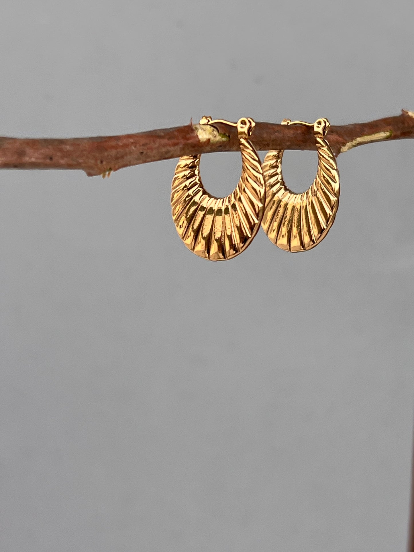 Golden Embrace Earrings