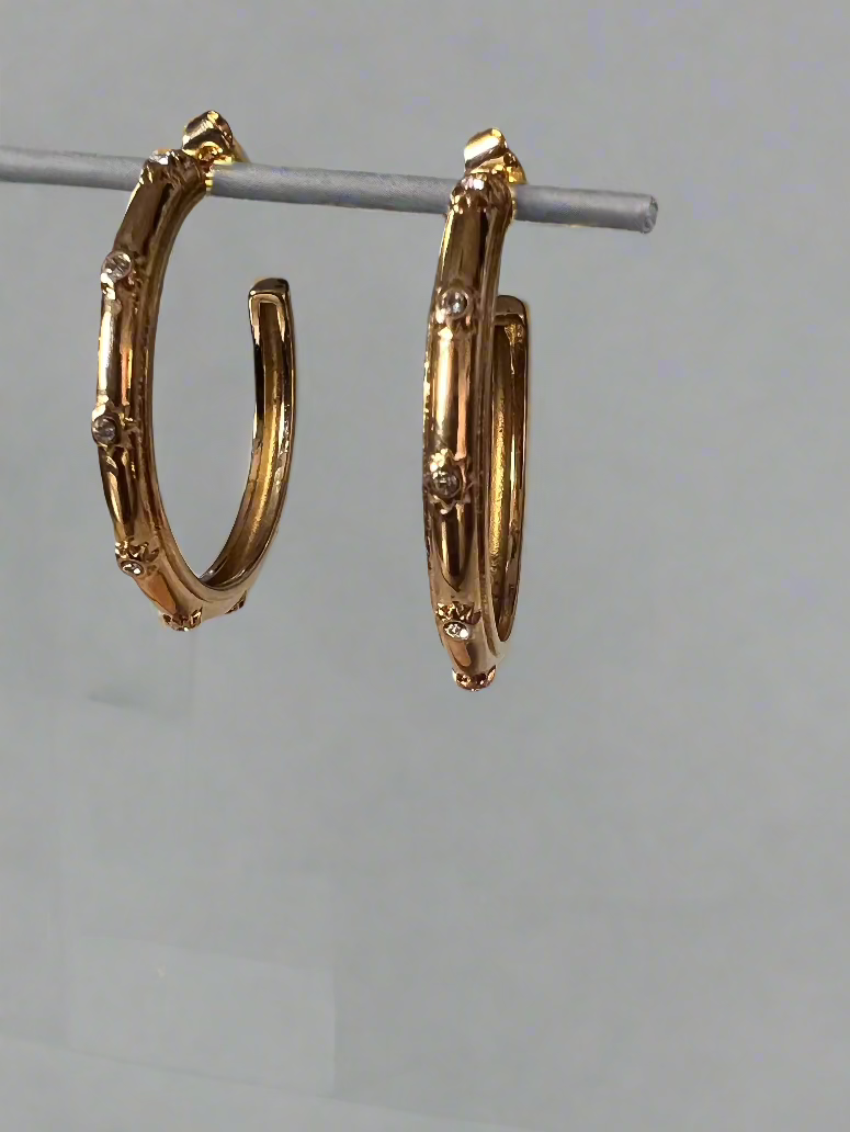 Jeniffer Hoops Earrings