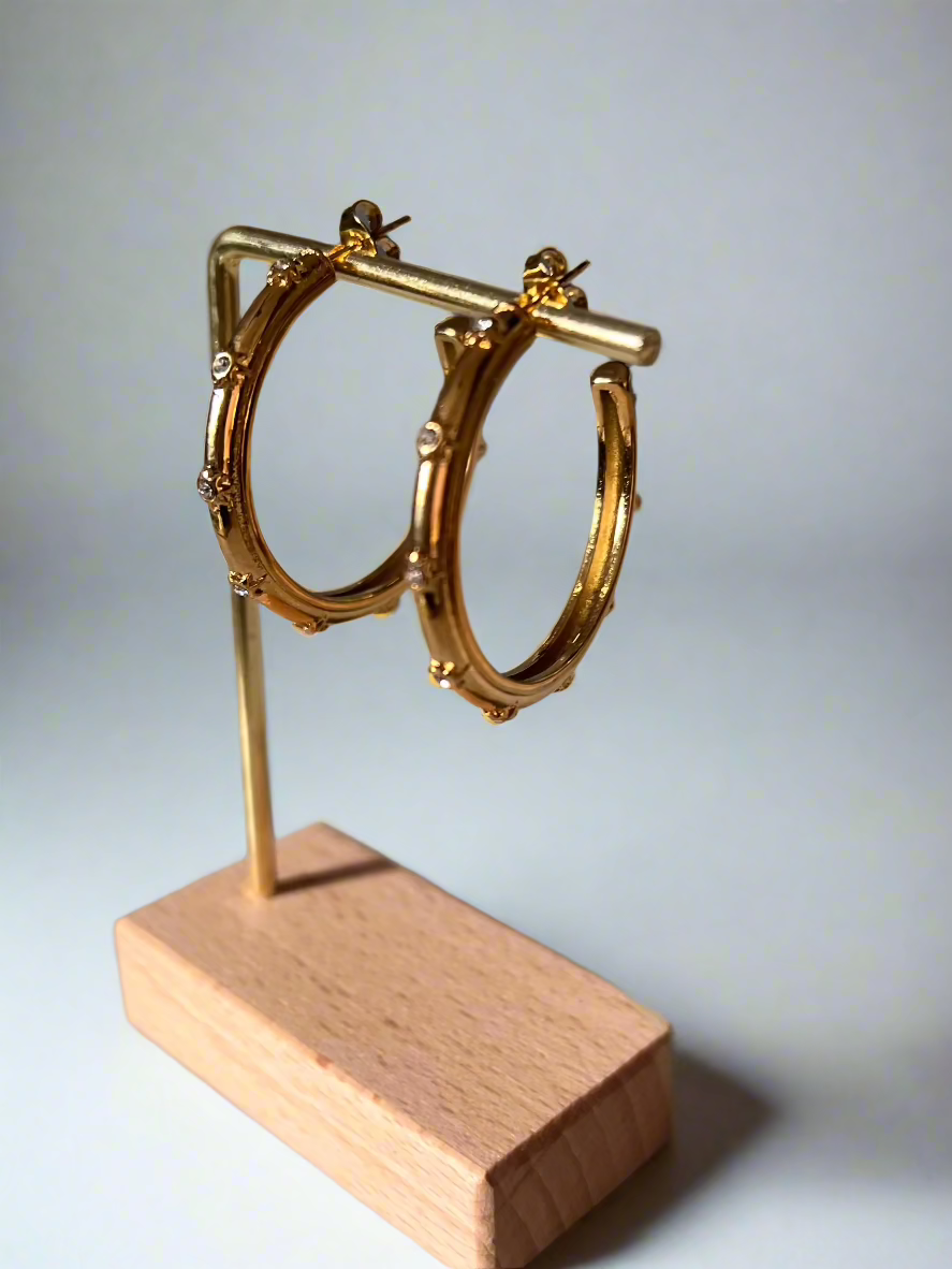 Jeniffer Hoops Earrings