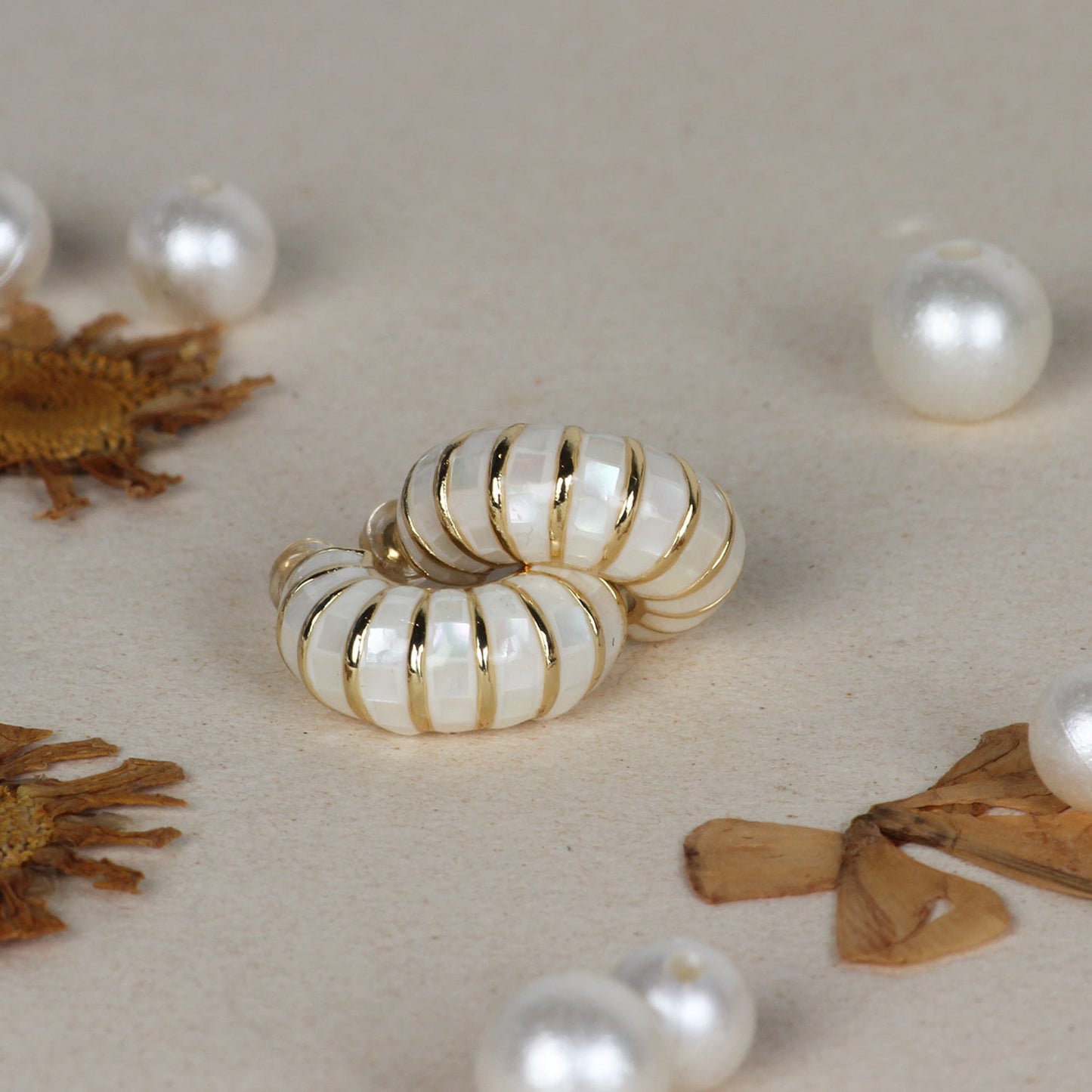 Amy Hoops Earrings