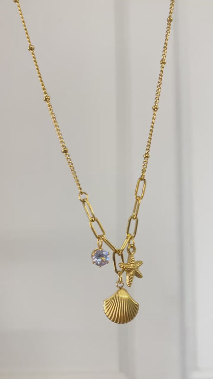 Seashell Necklace